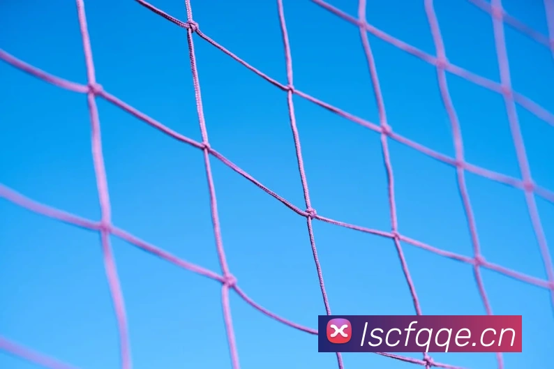 hth体育官网APP 体育赛事宣传图